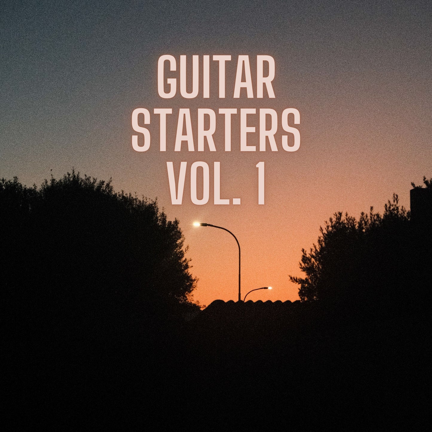 Guitar Starters Vol. 1